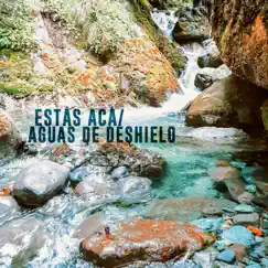 Aguas de Deshielo Song Lyrics