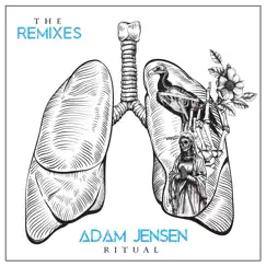 Ritual (Remixes) - Single by Adam Jensen album reviews, ratings, credits