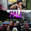 Pali (feat. Tivi Gunz) - Single album lyrics, reviews, download