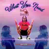 What You Need - Single album lyrics, reviews, download