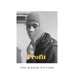 The Bigger Picture (feat. Chazrick Lucas) - Single by Profit CPT album reviews, ratings, credits