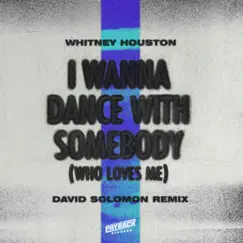 I Wanna Dance with Somebody (Who Loves Me) [David Solomon Remix] - Single album download