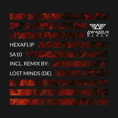 Sa10 (Lost Minds (De) Remix) Song Lyrics