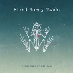 Wrong Side of the Road - EP by Blind Horny Toads album reviews, ratings, credits