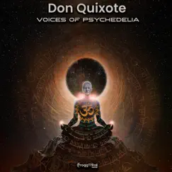 Voices of Psychedelia - Single by Don Quixote album reviews, ratings, credits