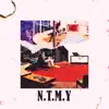 N.T.M.Y - Single album lyrics, reviews, download