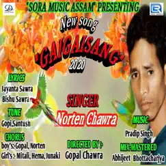 Gaigaisang - Single by Norten Chawra, Gopal, Mitali, Hema & Junaki album reviews, ratings, credits