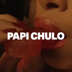 Papi Chulo Song Lyrics