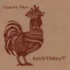 Roustabout album lyrics, reviews, download