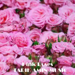 Pink Roses Song Lyrics