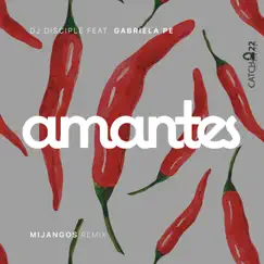 Amantes (feat. Gabriela Pe) [Mijangos Latin House Mix] Song Lyrics
