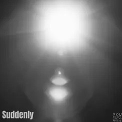 Suddenly - Single by You Don't Like My Music album reviews, ratings, credits