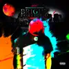 Bright Portfolio album lyrics, reviews, download