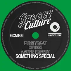 Something Special - Single by FUNKYBEAT, Andre Espeut & Birdee album reviews, ratings, credits
