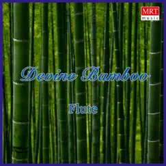 Devine Bamboo by Dr. N Ramani album reviews, ratings, credits