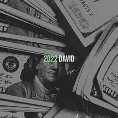 David by David album reviews, ratings, credits