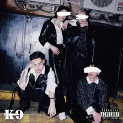 Common Ground 90s - Single by K9 album reviews, ratings, credits