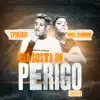 Ela Gosta do Perigo (feat. Spinardi) - Single album lyrics, reviews, download