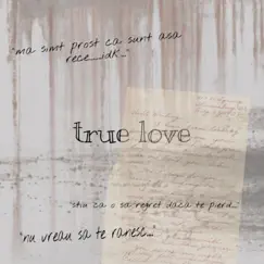 True Love (feat. Aivi) Song Lyrics