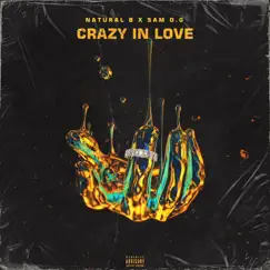 Crazy In Love - Single by Natural B & Sam O.G album reviews, ratings, credits