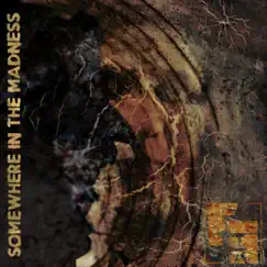 Somewhere in the Madness - Single by Finkseye album reviews, ratings, credits