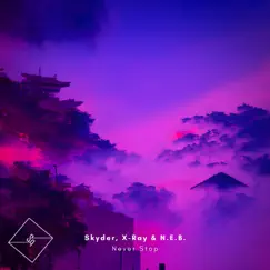 Never Stop - Single by Skyder, X-Ray & N.E.B. album reviews, ratings, credits
