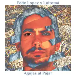 Agujas al Pajar (feat. Luitomá) - Single by Fede Lopez album reviews, ratings, credits