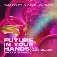 Future In Your Hands (feat. Aloe Blacc) [Skytech Remix] - Single by Sam Feldt & David Solomon album reviews, ratings, credits