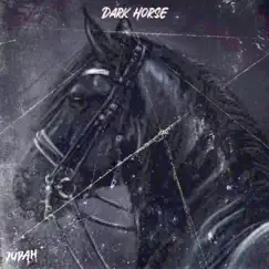 Dark Horse by NBSM Judah album reviews, ratings, credits
