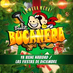 Las Fiestas De Diciembre / Ya Viene Navidad - Single by Banda Bucanera album reviews, ratings, credits