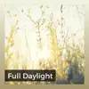 Full Daylight album lyrics, reviews, download