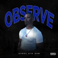 Observe - Single by Ziggy Zig Zag album reviews, ratings, credits