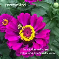 Never Gonna Give You Up (Instrumental Acoustic Guitar Version) - Single by Freeminstrel album reviews, ratings, credits