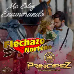 Me Estoy Enamorando - Single by Flechazo Norteño & Principez album reviews, ratings, credits