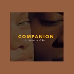Companion - Single by Quantrelle album reviews, ratings, credits
