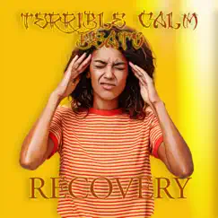 Recovery - Single by Terrible Calm album reviews, ratings, credits