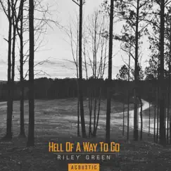 Hell Of A Way To Go (Acoustic) - Single by Riley Green album reviews, ratings, credits