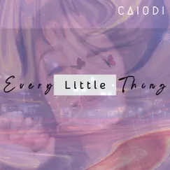 Every Little Thing - Single by Caiodi album reviews, ratings, credits