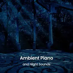Ambient Piano and Night Sounds by Sleepy Sine, Moments of Clarity & Calming Eyes album reviews, ratings, credits