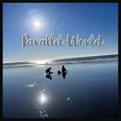 Parallel World - Single by Mermaidwithnoid album reviews, ratings, credits
