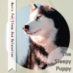 Music For Sleep and Relaxation by The Sleepy Puppy album reviews, ratings, credits
