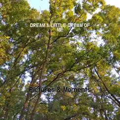 Dream a Little Dream of Me - Single by Pictures & Moments album reviews, ratings, credits