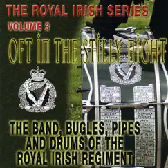 6th Battalion The Ulster Defence Regiment - The Old Rustic Bridge Song Lyrics