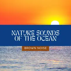 (Brown Noise) Soft Sea Coming in - Loopable Song Lyrics