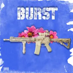 Burst - Single by Brandon Haymaker album reviews, ratings, credits
