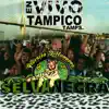 En Vivo Tampico (En vivo) album lyrics, reviews, download