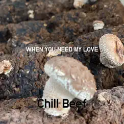 When You Need My Love - Single by Chill Beef album reviews, ratings, credits