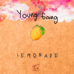 Lemonade - Single by Young Gang & Vida Robot album reviews, ratings, credits