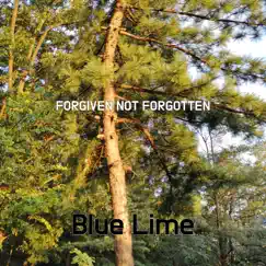 Forgiven Not Forgotten Song Lyrics