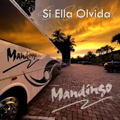 Si Ella Olvida (2022 Mix) - Single by Mandingo album reviews, ratings, credits